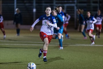 Bild 350 - F SC Alstertal-Langenhorn - Hamburger SV 3 : Ergebnis: 2:2